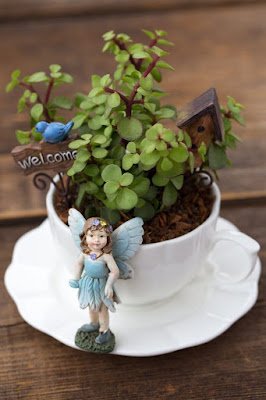 Esses jardinzinhos são ideais para quem não tem muito espaço ou tempo para cultivar plantas pois cabe em qualquer cantinho e demanda poucos cuidados