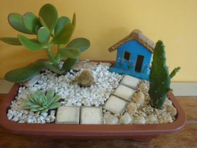 Esses jardinzinhos são ideais para quem não tem muito espaço ou tempo para cultivar plantas pois cabe em qualquer cantinho e demanda poucos cuidados