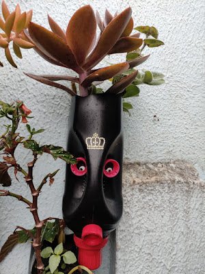 com garrafas PET também dá para criar mimos lindos e delicados para decorar o seu jardim