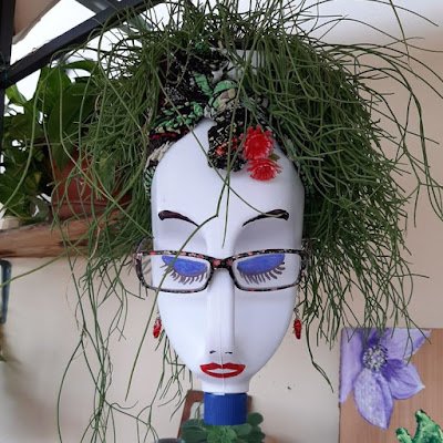 com garrafas PET também dá para criar mimos lindos e delicados para decorar o seu jardim