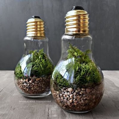 A construção de um terrário é uma atividade prática que auxilia na apropriação de conceitos ecológicos.