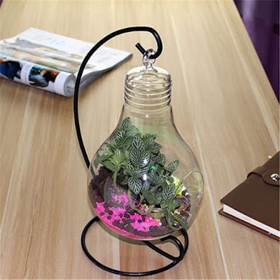 A construção de um terrário é uma atividade prática que auxilia na apropriação de conceitos ecológicos.