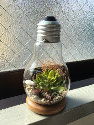 A construção de um terrário é uma atividade prática que auxilia na apropriação de conceitos ecológicos.