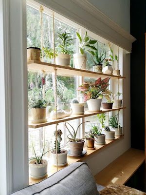 Ideias de decoração simples para aconchegar suas plantas dentro de casa