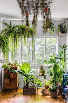 Ideias de decoração simples para aconchegar suas plantas dentro de casa