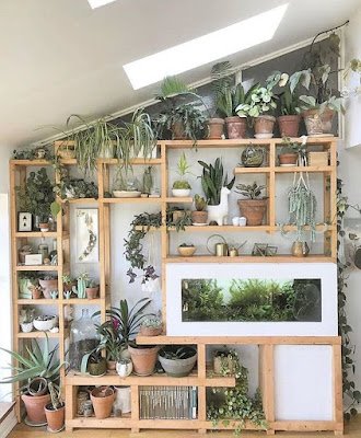 Ideias de decoração simples para aconchegar suas plantas dentro de casa