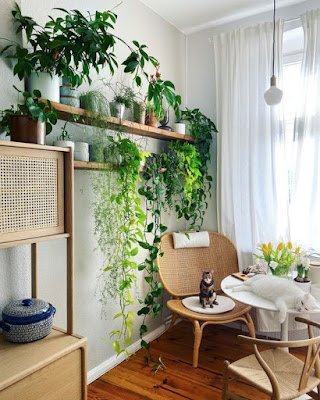 Ideias de decoração simples para aconchegar suas plantas dentro de casa