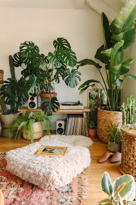 Ideias de decoração simples para aconchegar suas plantas dentro de casa