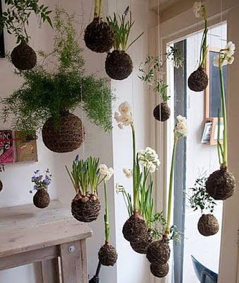 Ideias de decoração simples para aconchegar suas plantas dentro de casa