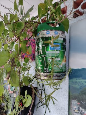 Reutilize o barril de chopp 5l