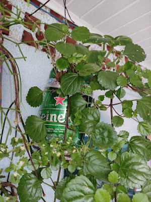 Reutilize o barril de chopp 5l