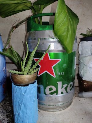 Reutilize o barril de chopp 5l