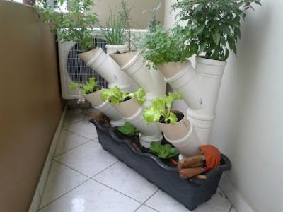 ideias de hortas inteligentes para fazer dentro de casa e locais cobertos