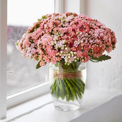 a Kalanchoe combina muito bem com cachepôs de madeira e fibras naturais, como a juta.