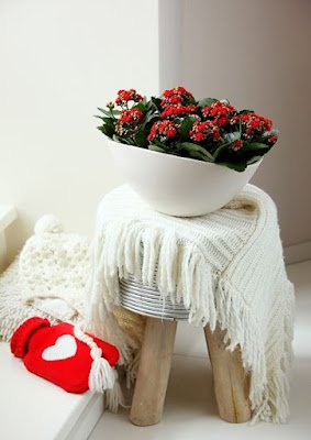 a Kalanchoe combina muito bem com cachepôs de madeira e fibras naturais, como a juta.