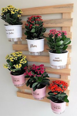 a Kalanchoe combina muito bem com cachepôs de madeira e fibras naturais, como a juta.