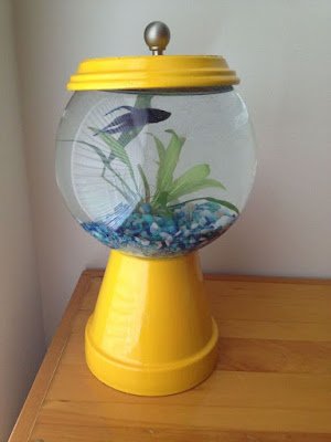 Que tal transformar os seus vasos e plantas em peças decorativas?