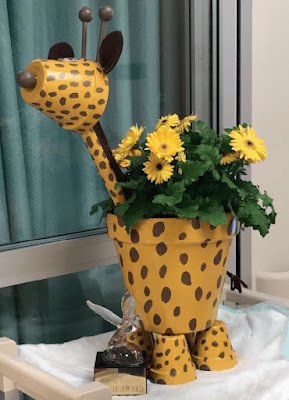 Que tal transformar os seus vasos e plantas em peças decorativas?