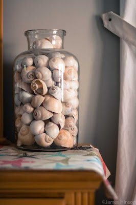 Fotos e ideias de artesanato com conchas