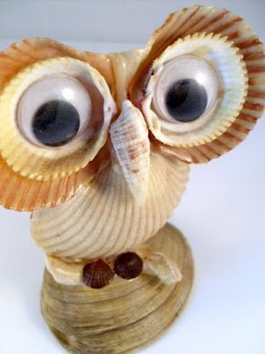 Fotos e ideias de artesanato com conchas