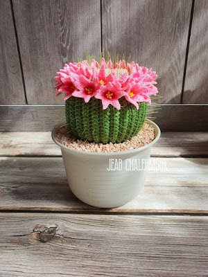 Bem pequenininhos e com muitas opções de formatos e cores essas plantinhas de crochê são lindas opções para decorar qualquer ambiente.