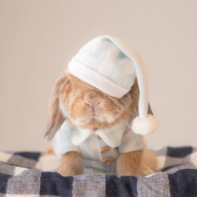 Uma relação do coelho com o Cristianismo sugere como, em muitos locais do Hemisfério Norte, o coelho passou a ser visto como um símbolo cristão. Isso porque, durante a época em que a Páscoa era comemorada (próxima ao Equinócio de Primavera), o coelho era um dos primeiros animais a serem vistos com o fim do inverno. Isso fez com que o animal passasse a ser enxergado como um símbolo da renovação e, portanto, da ressurreição.