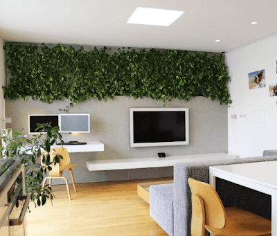 As plantas são de longe os elementos mais lembrados e presentes na proposta de biofilia nos ambientes. Elas completam o ambiente dando um visual natural, aconchegante e de paz.