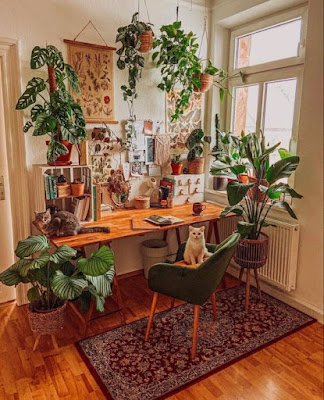 As plantas são de longe os elementos mais lembrados e presentes na proposta de biofilia nos ambientes. Elas completam o ambiente dando um visual natural, aconchegante e de paz.