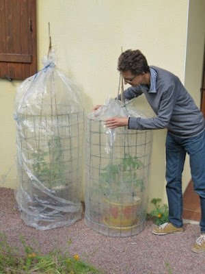 Barreiras totalmente sólidas inibem completamente a ação dos ventos gélidos.  As estufas ou casinhas são boas soluções para hortas e pequenos jardins que podem ser manipulados.