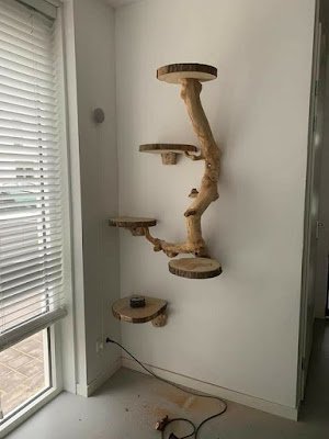 Com galhos fininhos, com troncos mais grossos, com folhas ainda presas à madeira, a decoração com galhos confere um ar rústico e natural ao ambiente, deixando-o muito mais aconchegante, com ares de casa do campo.