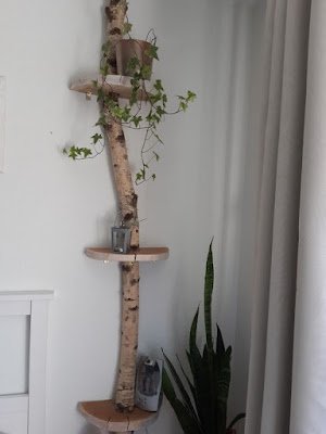 Com galhos fininhos, com troncos mais grossos, com folhas ainda presas à madeira, a decoração com galhos confere um ar rústico e natural ao ambiente, deixando-o muito mais aconchegante, com ares de casa do campo.