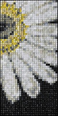 Agora, se isso se tornar uma ocorrência frequente, em breve você terá uma pilha de teclados estragados em algum canto do seu quarto, já que você tem consciência ecológica e não tenha tempo para descartá-los de maneira correta. Mas antes de descartá-los por que não reciclar esses teclados de computador fazendo algo útil e bonito para sua casa ou para você usar?