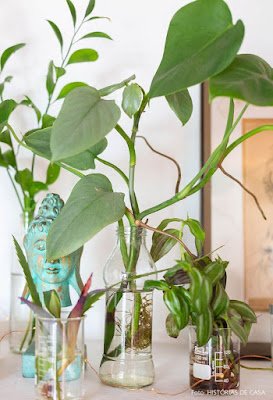 Também dá um troque elegante a sua decoração já que você pode usar recipientes de vidro recicláveis e até mesmo garrafas coloridos.