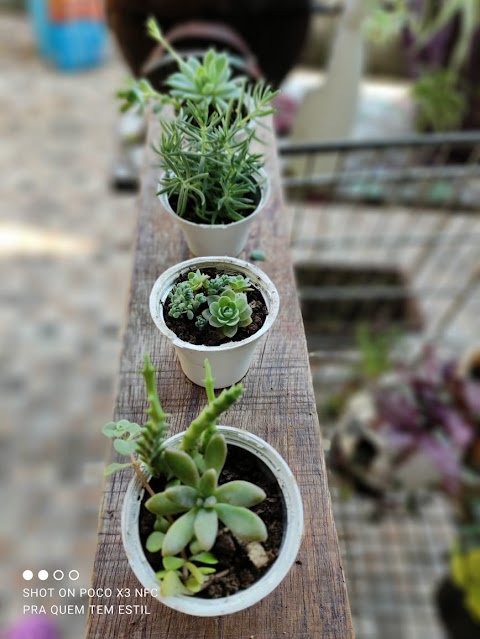 Bonequinho de lâmpadas para suculentas: Você pode fazer esse lindo bonequinho com a ajuda das crianças, pedindo pra que desenhem o rostinho e deem ideias.