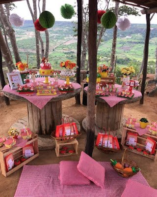 Se você quer mandar bem na hora de decorar a sua festa julina vale a pena investir em sua criatividade sem mexer muito no bolso e se você quer sair do óbvio, então vamos te ajudar a mandar bem na hora de decorar sua festa.