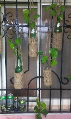 Se for fazer um jardim vertical aquático suspenso ou fixo na parede você pode apostar e mesclar  com espécies de tamanhos e tonalidades diferentes e fazer bases fixas com madeira em coloração que combine com a decoração