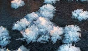 Essas flores de gelo não só existem na natureza, mas podem a ser vistas em locais onde o clima é bastante gelado. Isso corre apenas em alguns tipos de plantas devido a sua porosidade.
