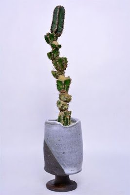 O enxerto de cacto é basicamente um método direto em que você anexa um pedaço ou até mesmo um cacto inteiro  (chamado de "descendente") em um pedaço ferido de outro cacto (o "porta-enxerto")  para criar uma única planta.