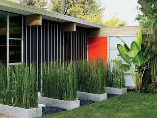 Em geral, a cavalinha não precisa de solo particularmente rico ou fértil, por isso a fertilização geralmente não é necessária.