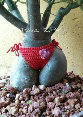 A rosa do deserto é uma planta que dá flores o ano inteiro, mas é na primavera que elas ficam mais exuberantes e perfumadas, sendo a espécie perfeita para enfeitar o seu jardim em qualquer época do ano.