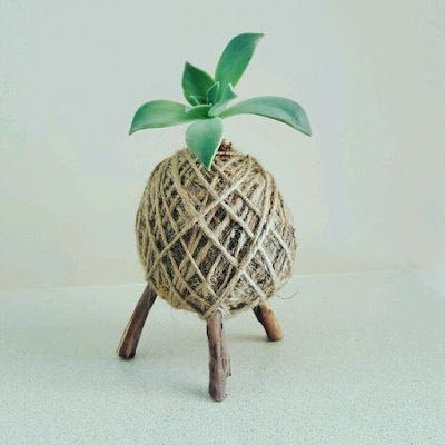 Kokedama é uma técnica japonesa que envolve as plantas dentro de uma “bola” de musgo, substrato e argila. Essas esferas artesanais passam a abrigar a raiz da planta, dispensando, portanto, o uso de vasos, floreiras, jardineiras e outros.    Essa técnica tem sido muito usada, especialmente para decorar ambientes pequenos, como apartamentos e varandas.