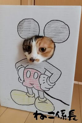 O celular é uma ferramenta muito útil para fotografia, não só para os adultos, mas através da fotografia você pode explorar habilidades artísticas em suas crianças.