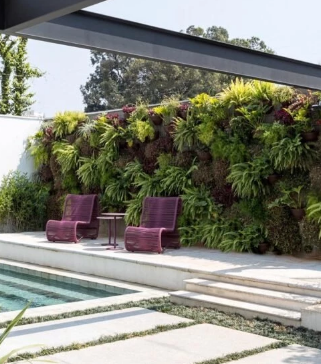 Ter um muro decorado é uma ótima forma para suavizar o campo visual do quintal e deixar o ambiente externo mais aconchegante.