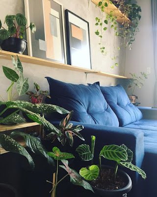 Tons de vermelho na decoração A cor vermelha pode ser usada quando existe a necessidade de estimular algumas sensações e incentivar ações. Isso porque ela altera positivamente os ânimos das pessoas, impulsionando a atenção aos elementos em destaque.