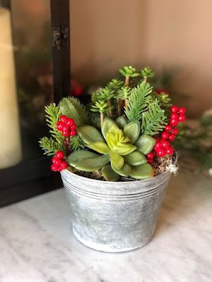 O Natal é o símbolo da vida, do nascimento do nosso salvador, então nada melhor do que decorar a casa com plantinhas, pois elas simbolizam a vida, harmonizam e purificam nosso lar, trazem a beleza da natureza e da vida para dentro de nossas casas.