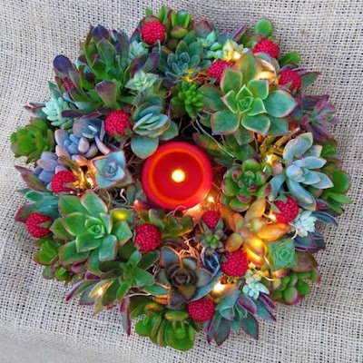 O Natal é o símbolo da vida, do nascimento do nosso salvador, então nada melhor do que decorar a casa com plantinhas, pois elas simbolizam a vida, harmonizam e purificam nosso lar, trazem a beleza da natureza e da vida para dentro de nossas casas.