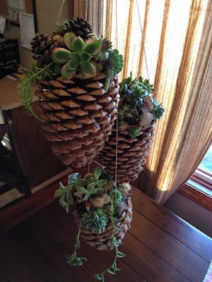 O Natal é o símbolo da vida, do nascimento do nosso salvador, então nada melhor do que decorar a casa com plantinhas, pois elas simbolizam a vida, harmonizam e purificam nosso lar, trazem a beleza da natureza e da vida para dentro de nossas casas.