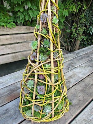 O Natal é o símbolo da vida, do nascimento do nosso salvador, então nada melhor do que decorar a casa com plantinhas, pois elas simbolizam a vida, harmonizam e purificam nosso lar, trazem a beleza da natureza e da vida para dentro de nossas casas.