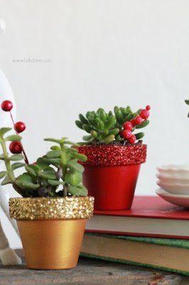 O Natal é o símbolo da vida, do nascimento do nosso salvador, então nada melhor do que decorar a casa com plantinhas, pois elas simbolizam a vida, harmonizam e purificam nosso lar, trazem a beleza da natureza e da vida para dentro de nossas casas.