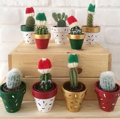 O Natal é o símbolo da vida, do nascimento do nosso salvador, então nada melhor do que decorar a casa com plantinhas, pois elas simbolizam a vida, harmonizam e purificam nosso lar, trazem a beleza da natureza e da vida para dentro de nossas casas.